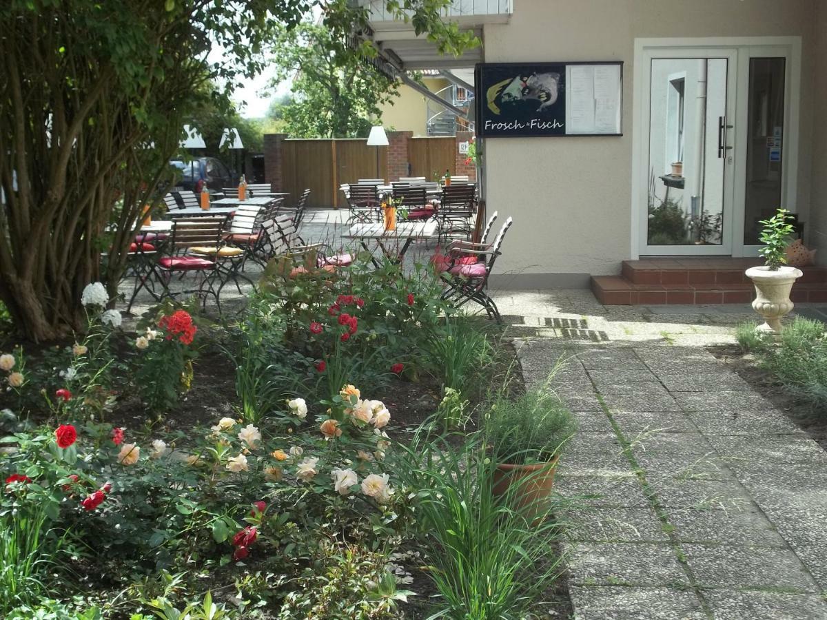 "Frosch & Fisch" Bed and Breakfast Himmelpfort Exteriör bild
